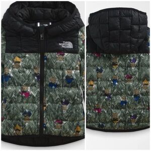 🐻RARE and Retro 96’s Northface Bear limited edition winter jacket